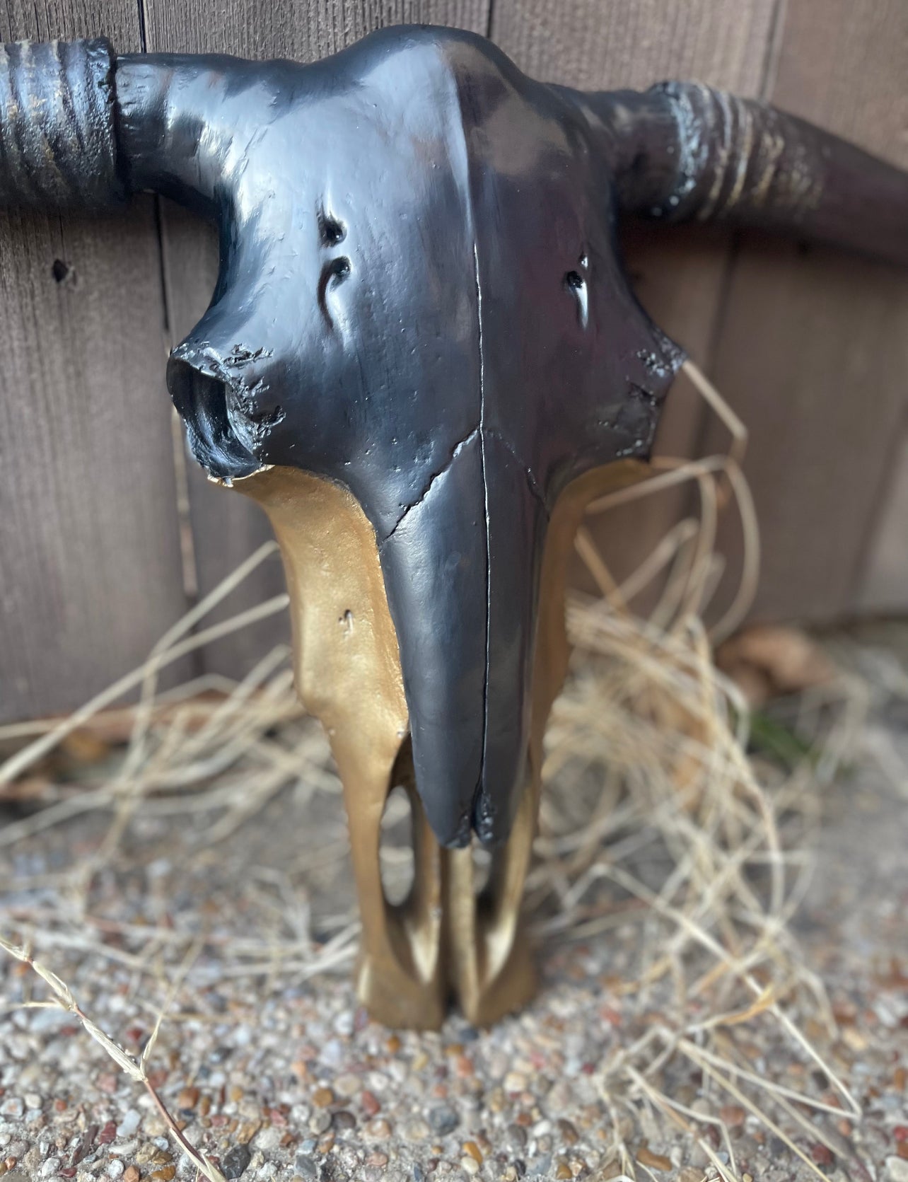 Maximus Black & Gold Cowskull
