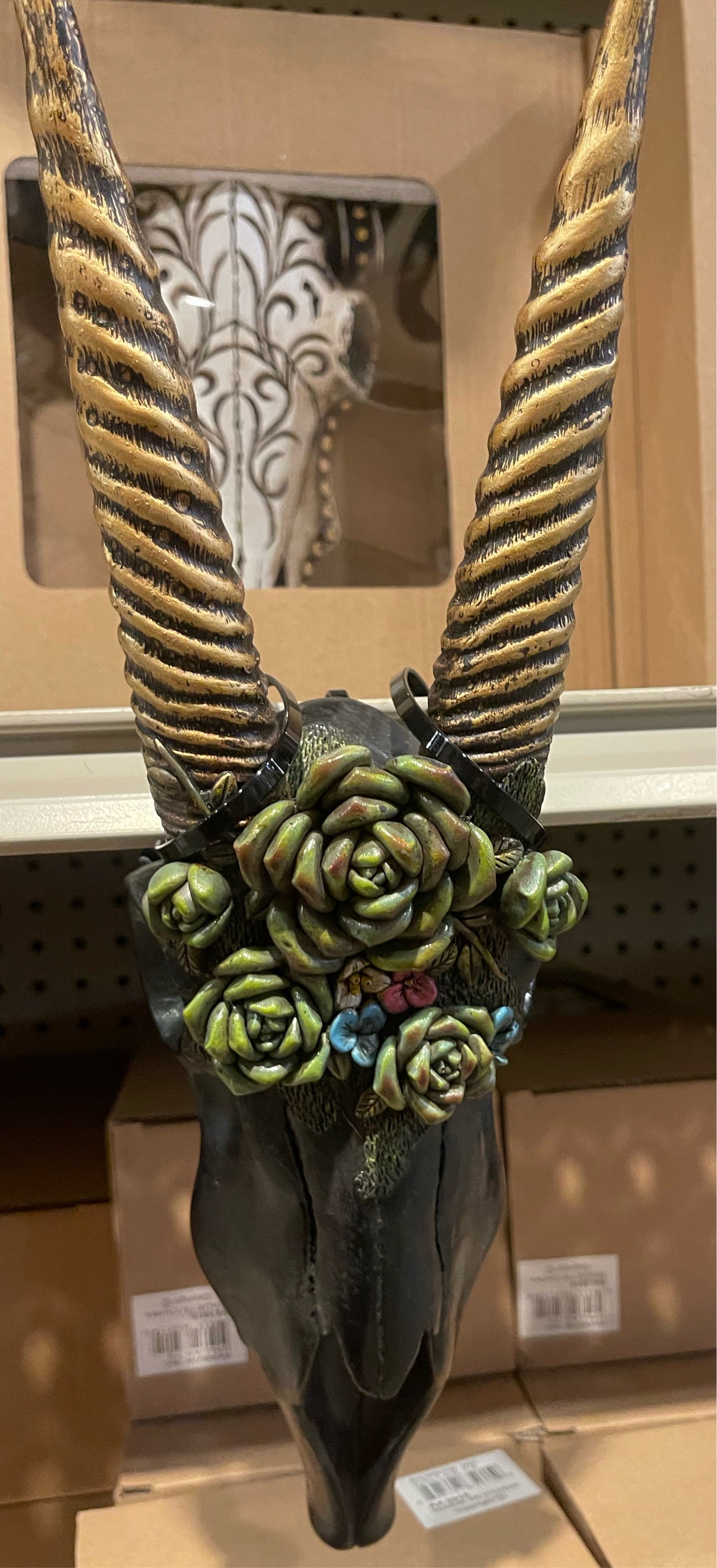 Black Succulent Skull