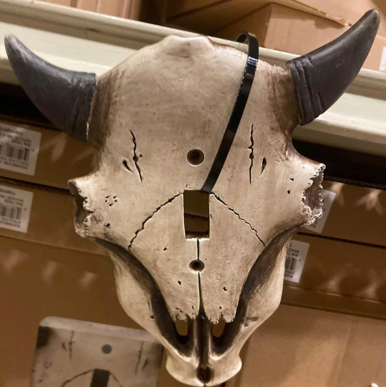 Cowskull Cover Plates