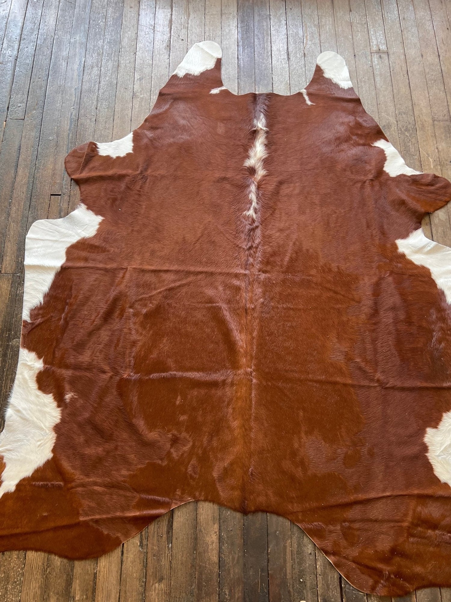 Rugs