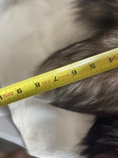 Assorted Short Fox Tail Keychains