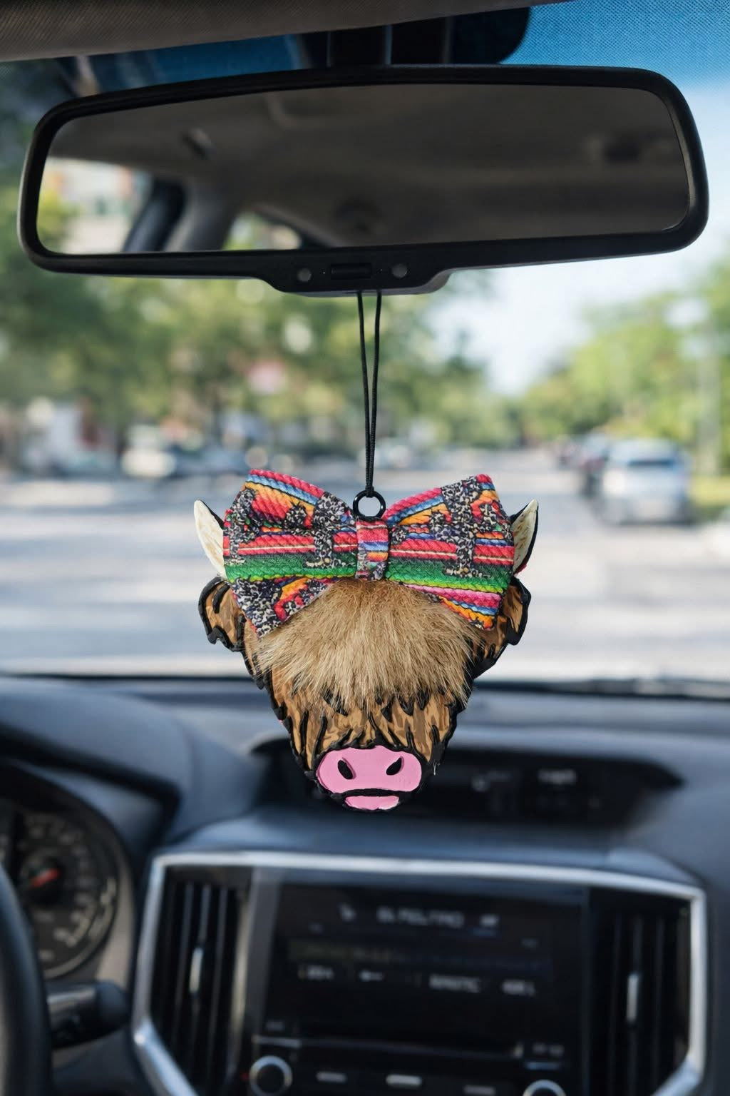 Car Freshies