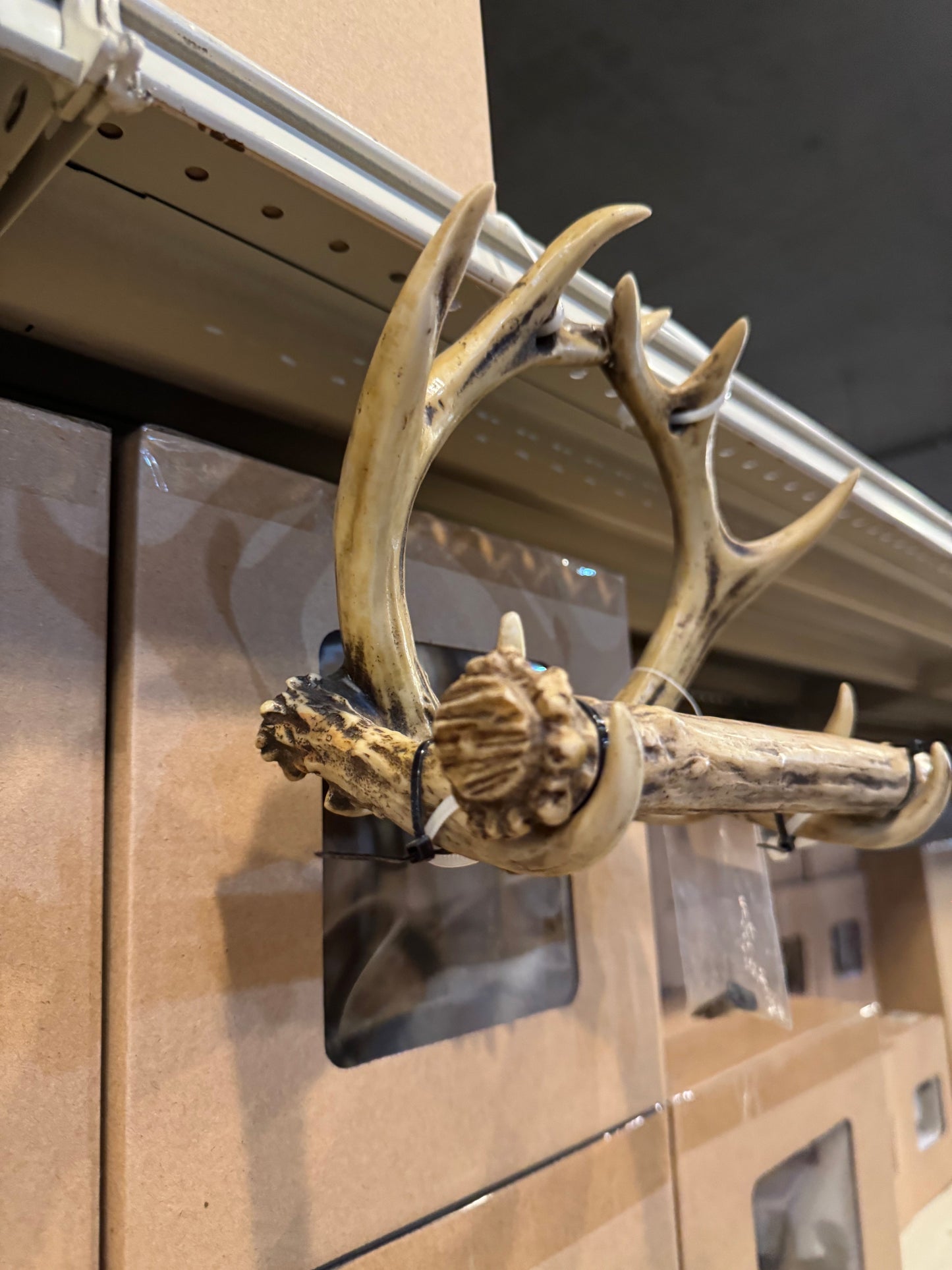 Antler Toilet Paper Holder