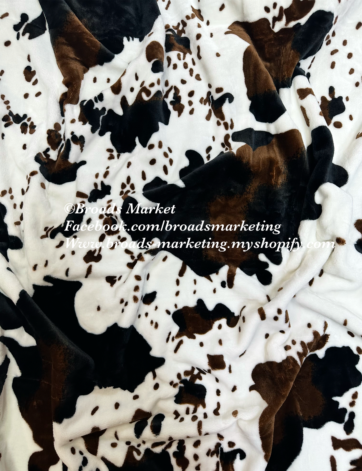 Twin Super Plush Aztec Blankets