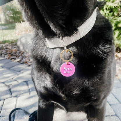 Pretty Simple - Gus & Co - Dog Tag and Keychain Set Wholesale