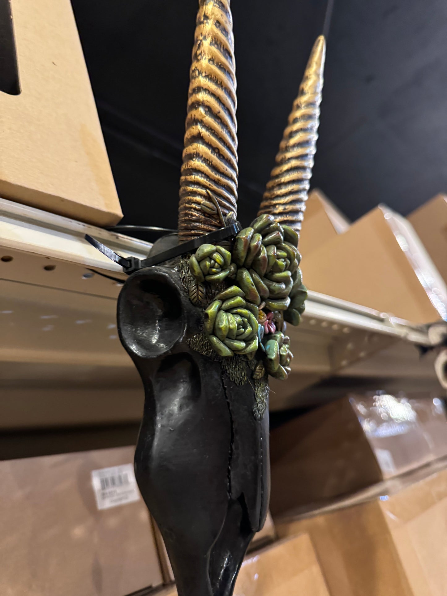 Black Floral Succulent Skull