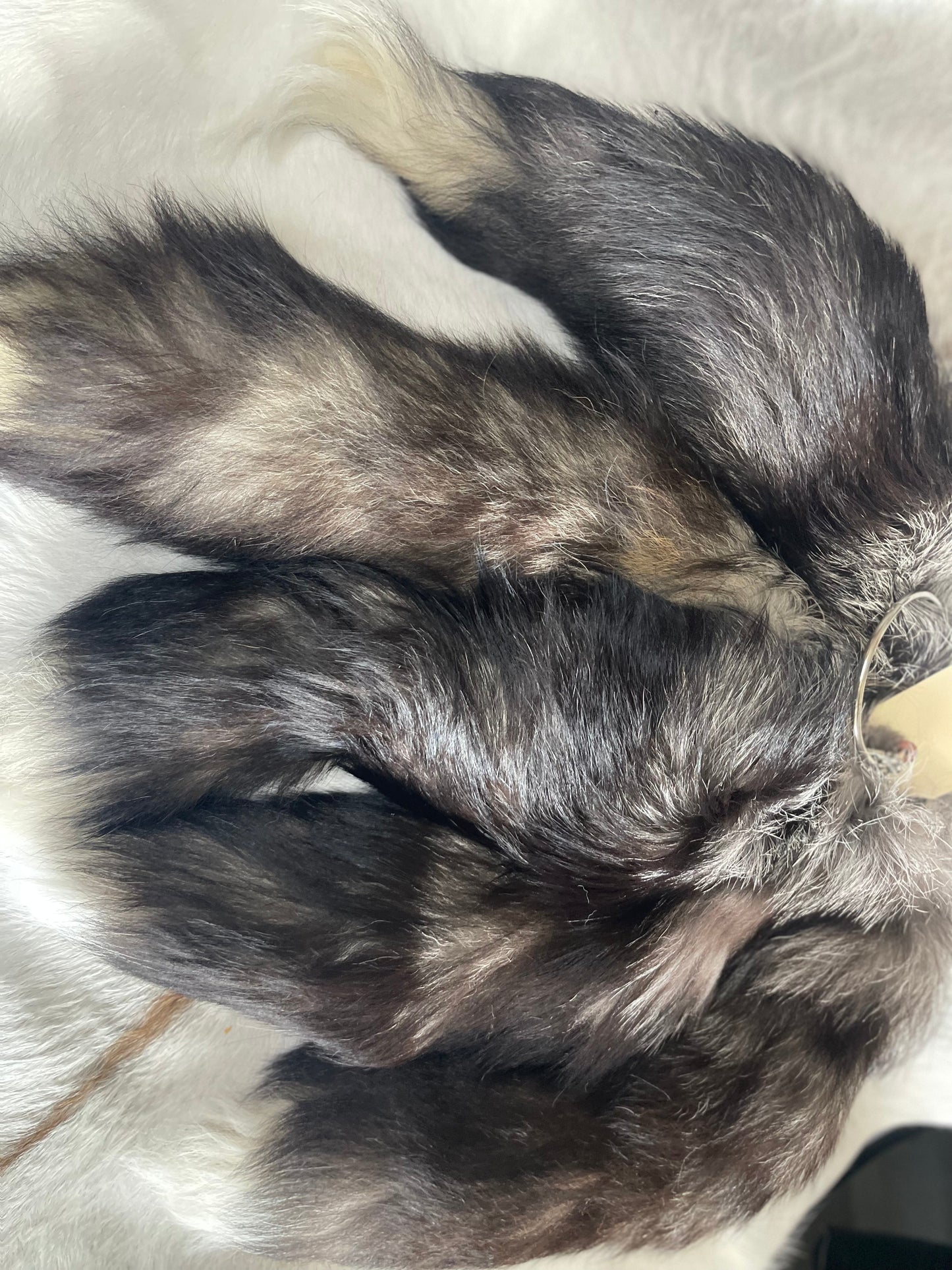 Silver Fox Tail Keychain