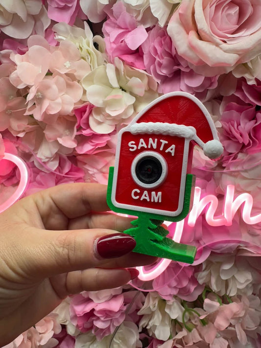 Santa cam 3D