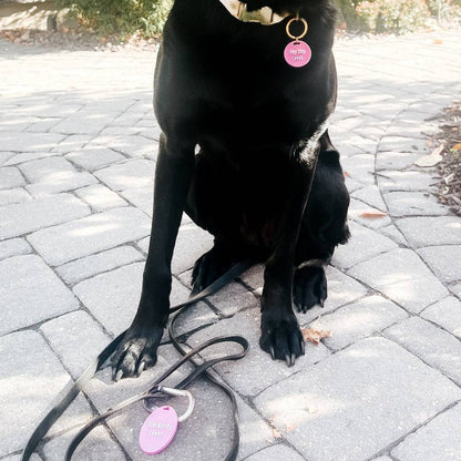 Pretty Simple - Gus & Co - Dog Tag and Keychain Set Wholesale