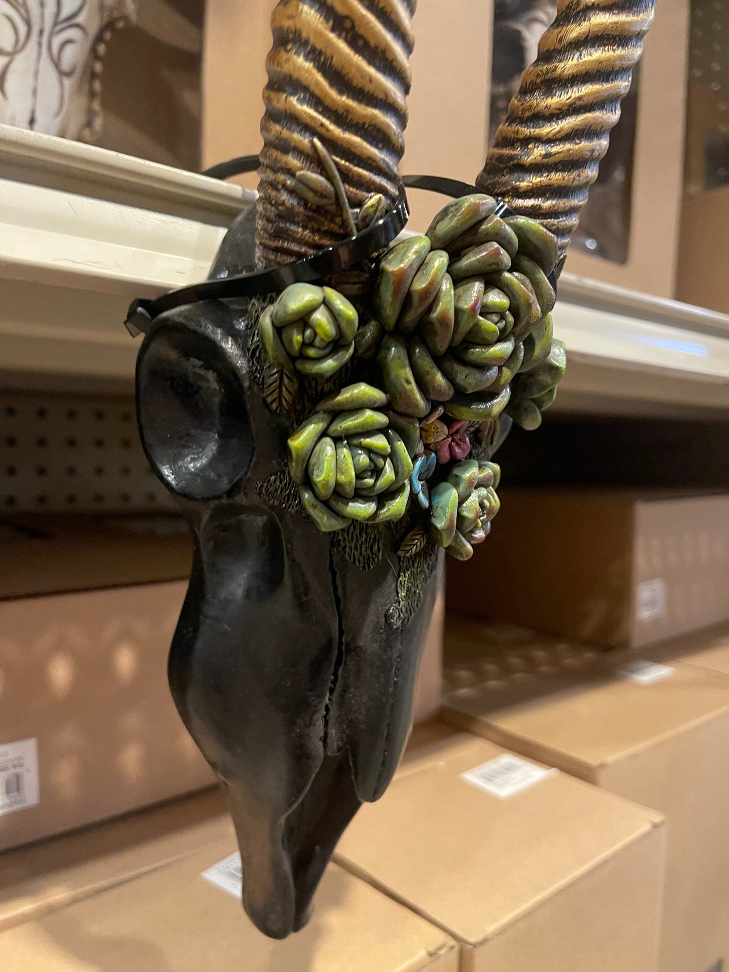 Black Succulent Skull