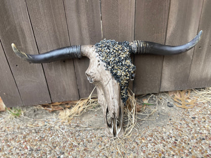 The Tonight Skull - message to order