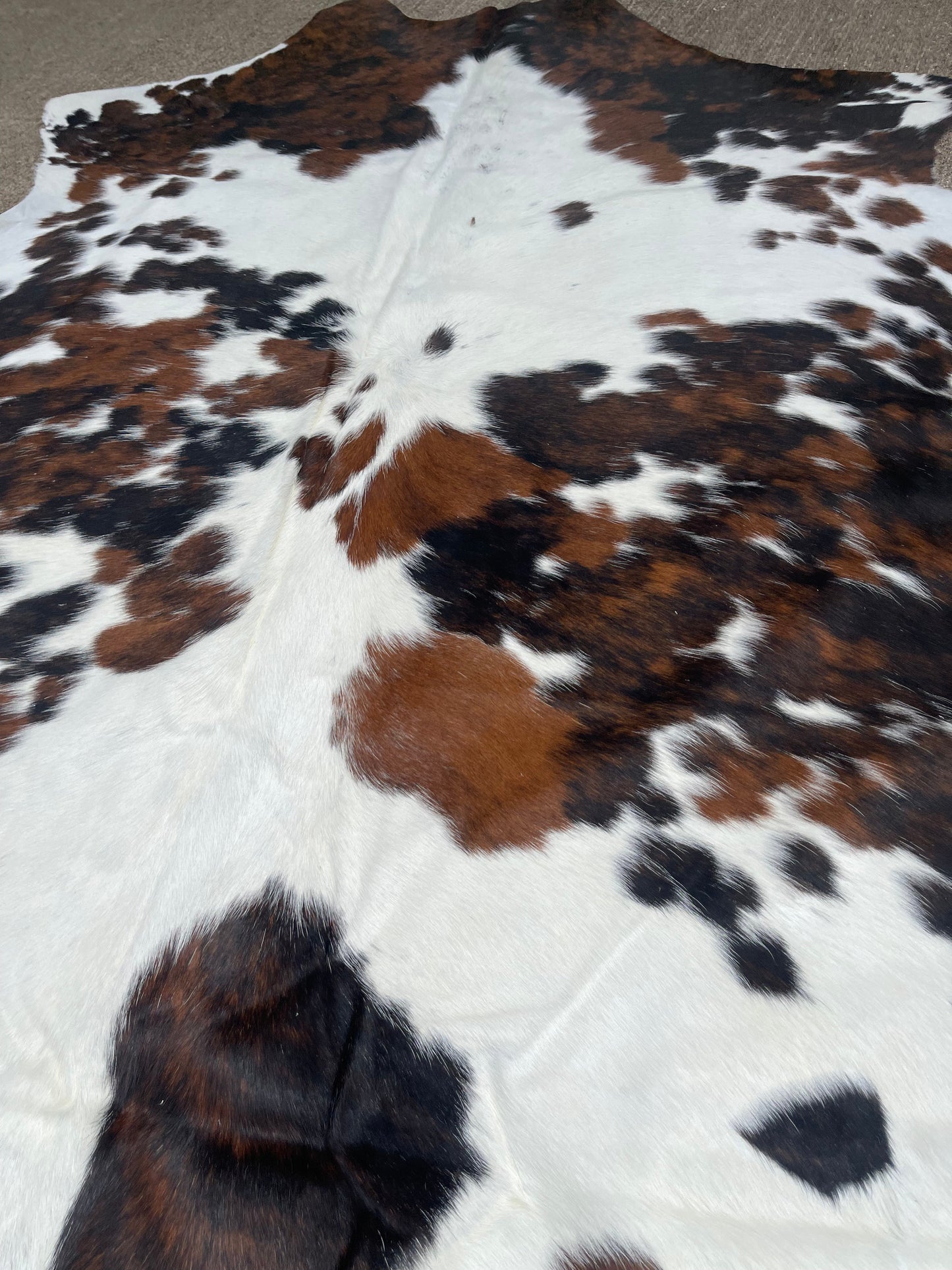5’ Tricolor Cowhide Rug