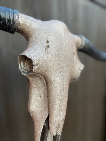 Dusty Rose Sparkle Cowskull