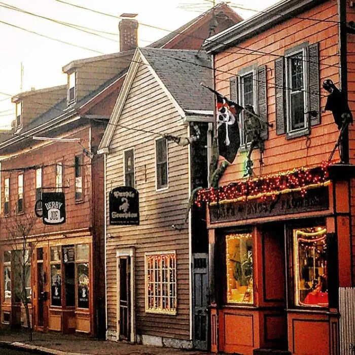 SALEM - REED DIFFUSER, REED DIFFUSER -- Vetiver, Clove, Patchouli & Cinnamon